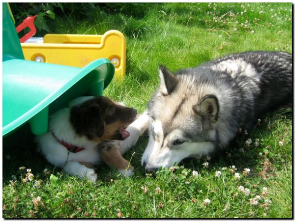 Aleshanee 7-2009 5.jpg